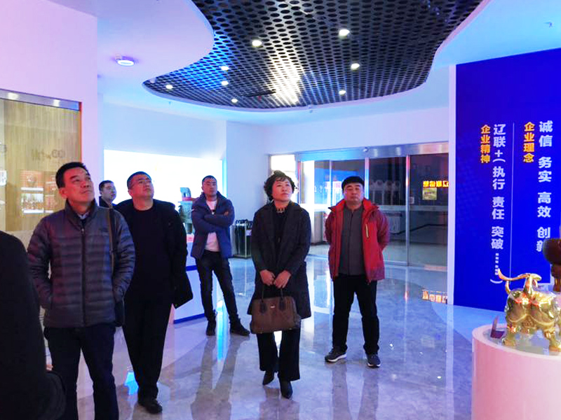 吉林省形象局服务中心刘宝昌主任一行光临SA视讯集团调查