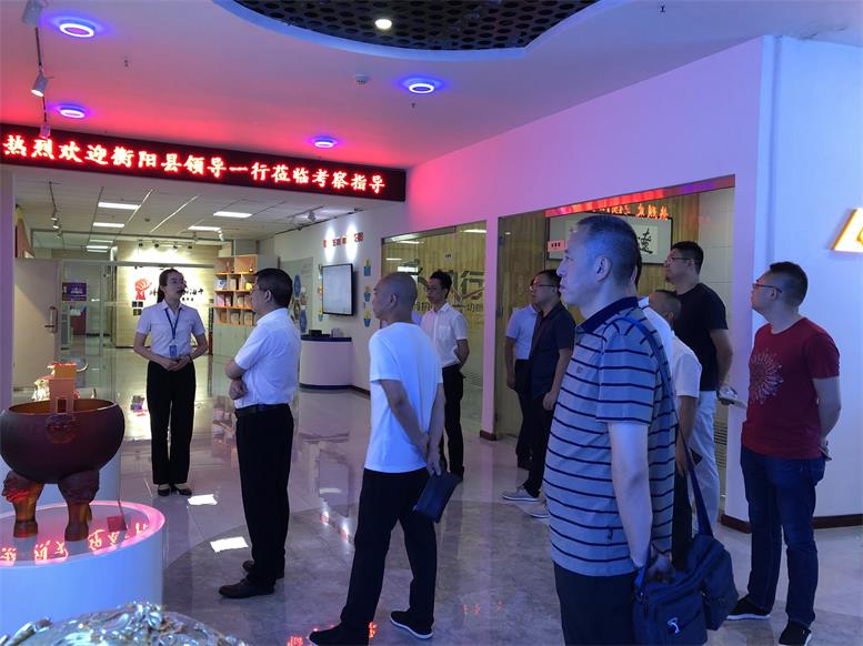 湖南省衡阳县常务副县长王苏龙一行光临SA视讯集团调查财路大数据项目