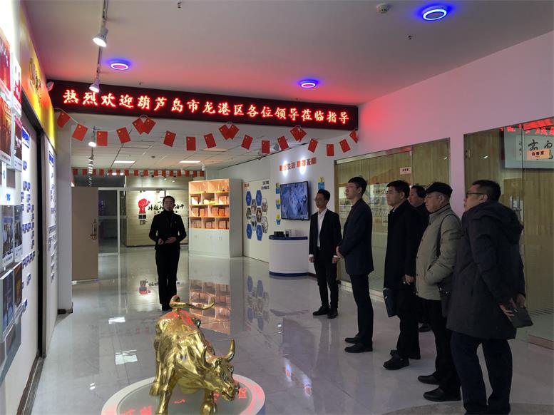 辽宁省葫芦岛市龙岗区常务副区长付国一行光临SA视讯集团调查财路大数据项目